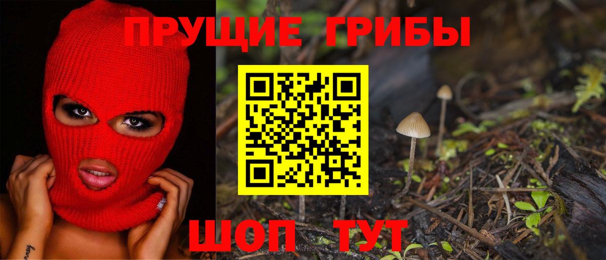 Кстово  Галлюциногенные грибы MAGIC MUSHROOMS  Вход с VPN 